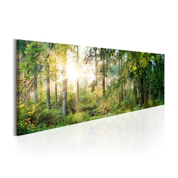 Tavla Arkiio Forest Shelter