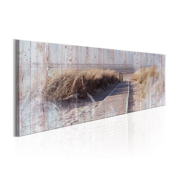 Tavla Arkiio Song Of The Summer