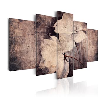 Tavla Arkiio Garden Of Time