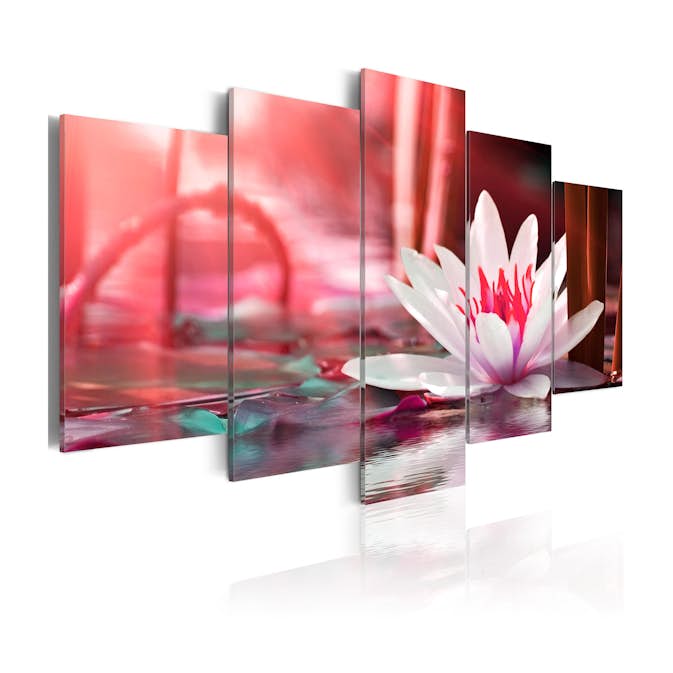 Tavla Arkiio Amaranthine Lotus