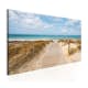 Tavla Arkiio Windy Beach