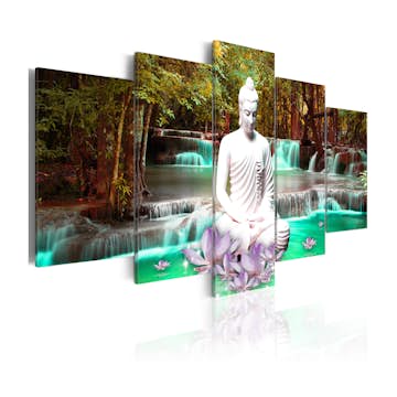 Tavla Arkiio Nature Sanctuary