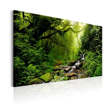 Tavla Arkiio Waterfall In The Forest