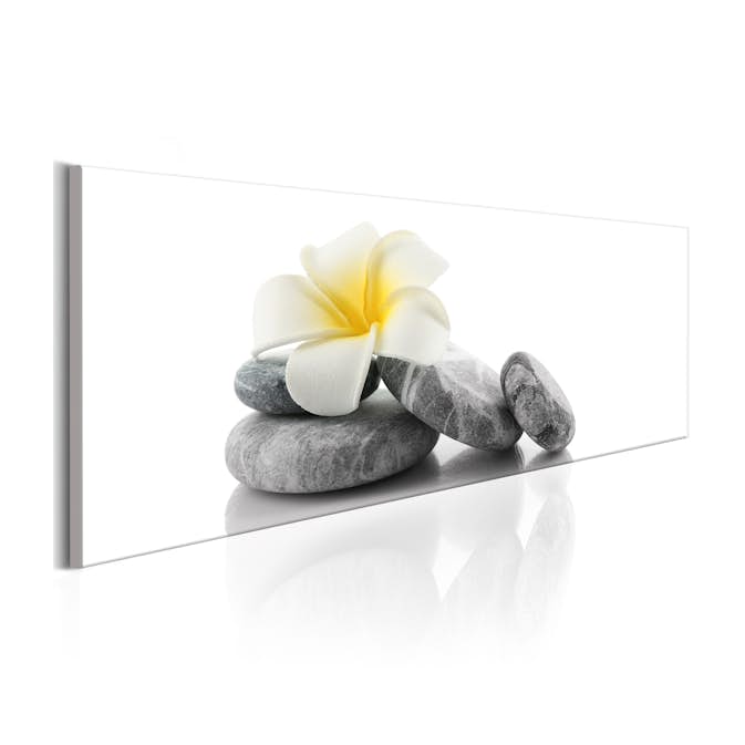 Tavla Arkiio White Lotus