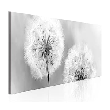 Tavla Arkiio Summer Memories