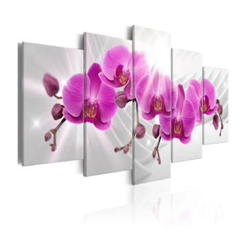 Tavla Arkiio Abstract Garden Pink Orchids