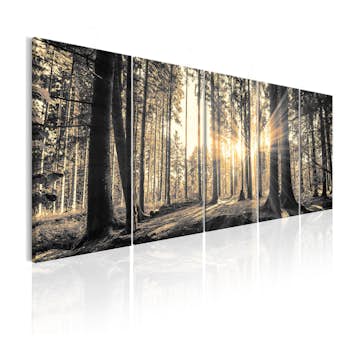 Tavla Arkiio Shadow Guards