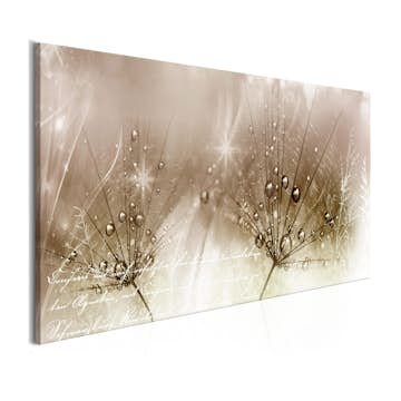 Tavla Arkiio Drops Of Dew Brown Wide 100x45