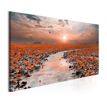 Tavla Arkiio Lily Pathway Wide 100x45