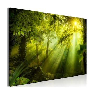 Tavla Arkiio In The Sunshine