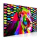 Tavla Arkiio Rainbow Lion