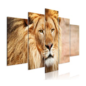 Tavla Arkiio The King Of Beasts Wide Orange 5 delar