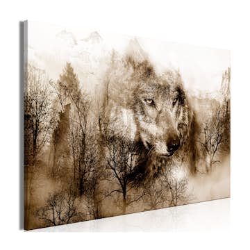 Tavla Arkiio Mountain Predator Brun