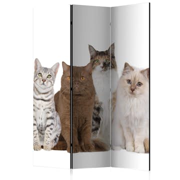 Rumsavdelare Arkiio Sweet Cats 135x172 cm