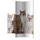 Rumsavdelare Arkiio Sweet Cats 135x172 cm