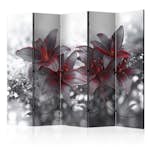 Rumsavdelare Arkiio Shadow of Passion II 225x172 cm