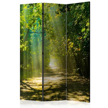 Rumsavdelare Arkiio Road In Sunlight 135x172 cm