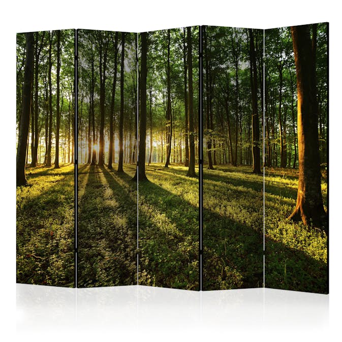 Rumsavdelare Arkiio Morning in the Forest II 225x172 cm