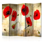 Rumsavdelare Arkiio Golden Field of Poppies II 225x172 cm