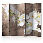 Rumsavdelare Arkiio Impeccability of the Orchid II 225x172 cm