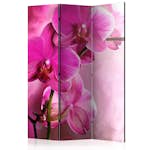 Rumsavdelare Arkiio Pink Orchid 135x172 cm