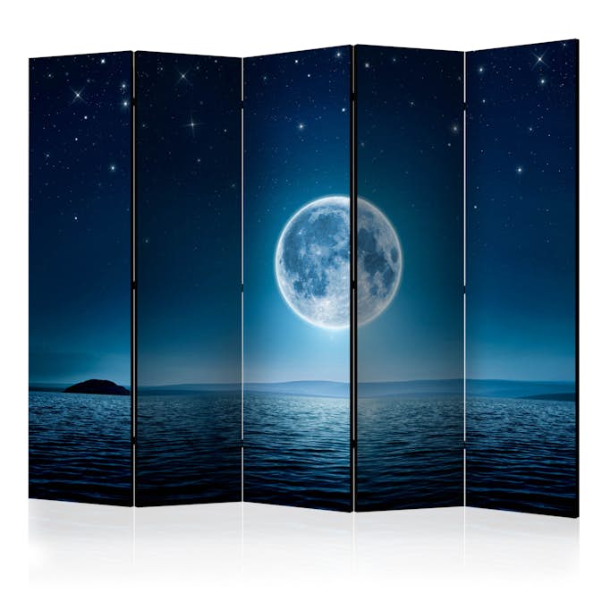 Rumsavdelare Arkiio Moonlit Night II 225x172 cm