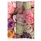 Rumsavdelare Arkiio Pastel Roses 135x172 cm