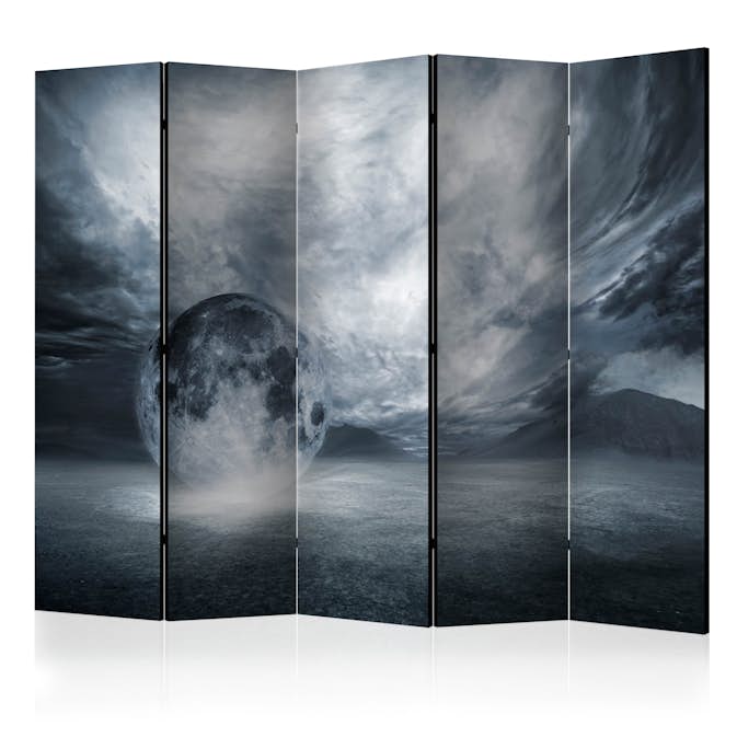 Rumsavdelare Arkiio The Lost Planet II 225x172 cm