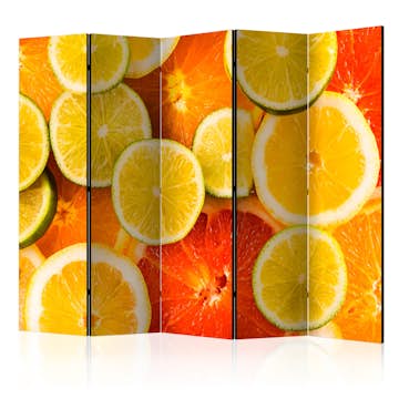 Rumsavdelare Arkiio Citrus Fruits II 225x172 cm