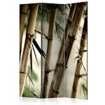 Rumsavdelare Arkiio Fog And Bamboo Forest 135x172 cm