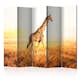 Rumsavdelare Arkiio Giraffe Walk II 225x172 cm