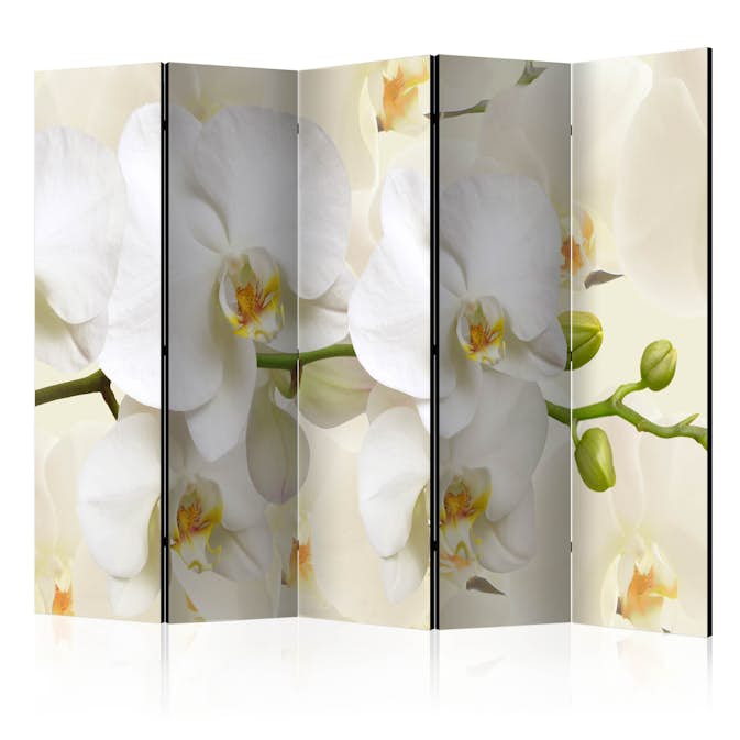 Rumsavdelare Arkiio Orchid Branch II 225x172 cm