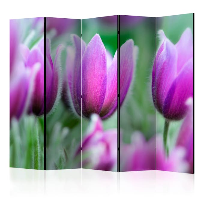 Rumsavdelare Arkiio Purple Spring Tulips II 225x172 cm