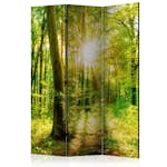 Rumsavdelare Arkiio Forest Rays 135x172 cm