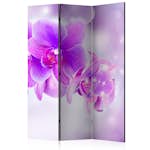 Rumsavdelare Arkiio Purple Orchids 135x172 cm