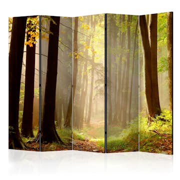 Rumsavdelare Arkiio Mysterious Forest Path II 225x172 cm