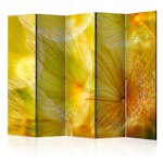 Rumsavdelare Arkiio Soft Dandelion Flower II 225x172 cm