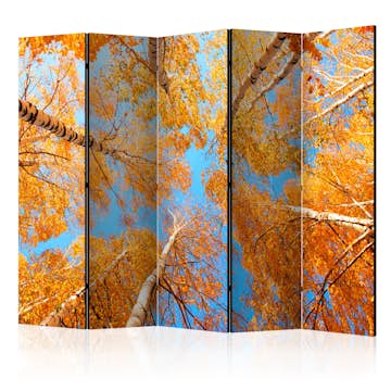 Rumsavdelare Arkiio Autumnal Treetops II 225x172 cm