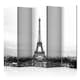 Rumsavdelare Arkiio Paris Black and White Photography II 225x172 cm