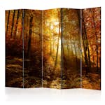 Rumsavdelare Arkiio Autumn Illumination II 225x172 cm