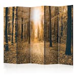 Rumsavdelare Arkiio Magical Light II 225x172 cm
