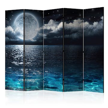 Rumsavdelare Arkiio Blue Lagoon II 225x172 cm
