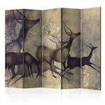 Rumsavdelare Arkiio Antelopes II 225x172 cm