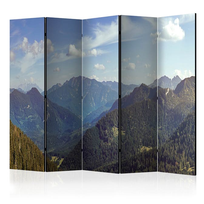 Rumsavdelare Arkiio Mountains’ Magic II 225x172 cm