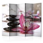 Rumsavdelare Arkiio Relaxation and Wellness II 225x172 cm