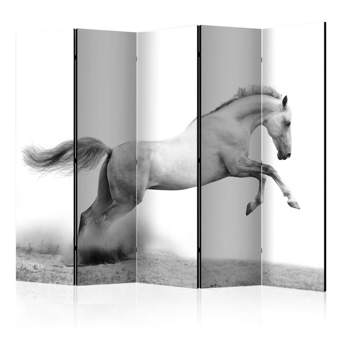 Rumsavdelare Arkiio White Gallop II 225x172 cm