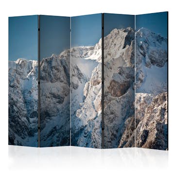 Rumsavdelare Arkiio Winter In The Alps II 225x172 cm