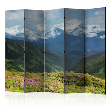 Rumsavdelare Arkiio Spring Mountain Landscape II 225x172 cm