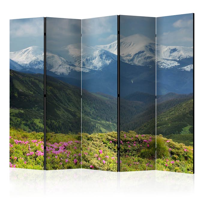 Rumsavdelare Arkiio Spring Mountain Landscape II 225x172 cm