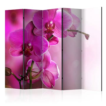 Rumsavdelare Arkiio Pink Orchid II 225x172 cm